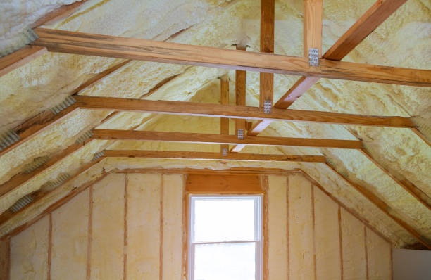 Best Commercial Insulation in Wren, AR