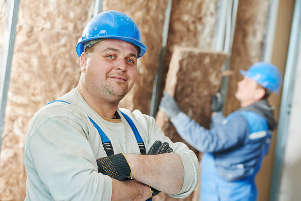 Best Residential Insulation in Wren, AR